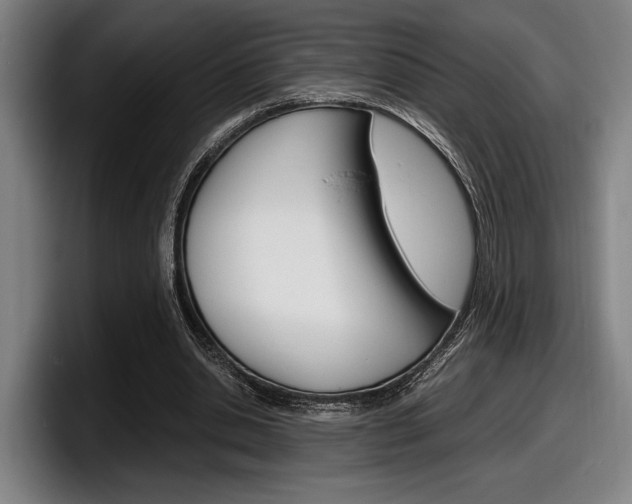 X0000098160438200804171221