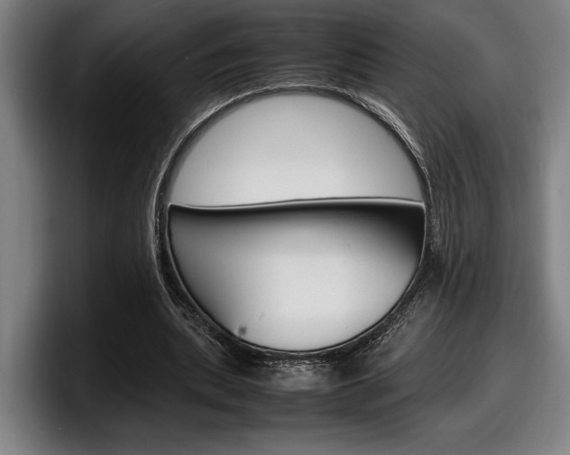 X0000098160439200804171221