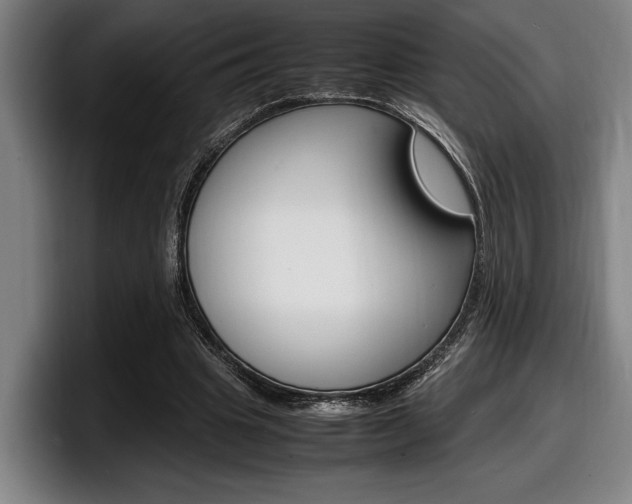 X0000098160441200804171221