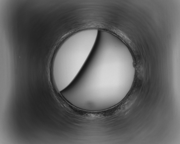 X0000098160442200804171221