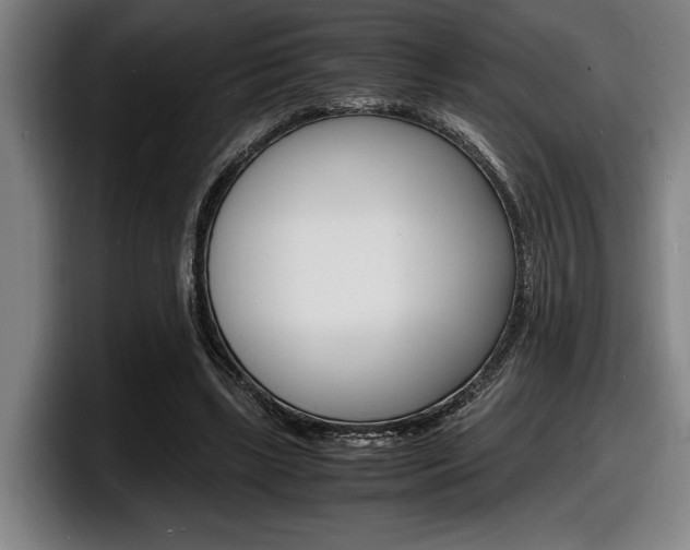 X0000098160443200804171221