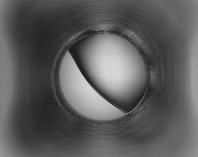 X0000098160444200804171221