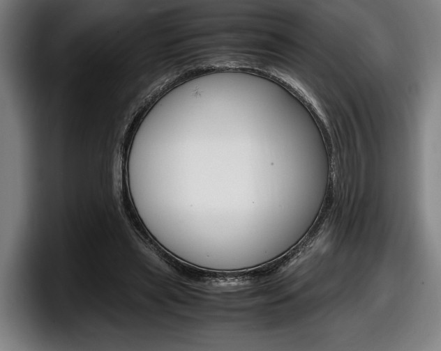 X0000098160445200804171221