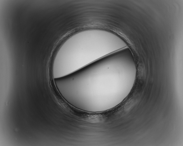 X0000098160446200804171221
