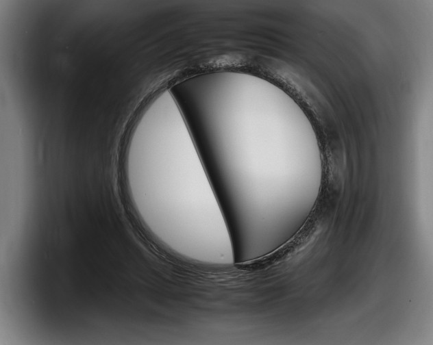 X0000098160447200804171221