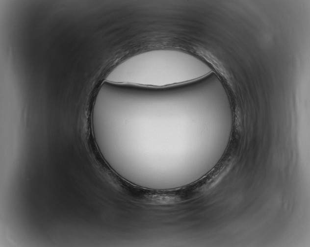 X0000098160449200804171221