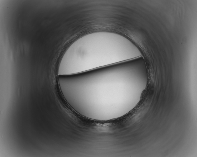 X0000098160450200804171221