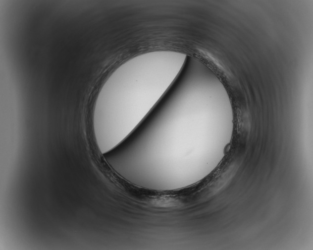 X0000098160451200804171221