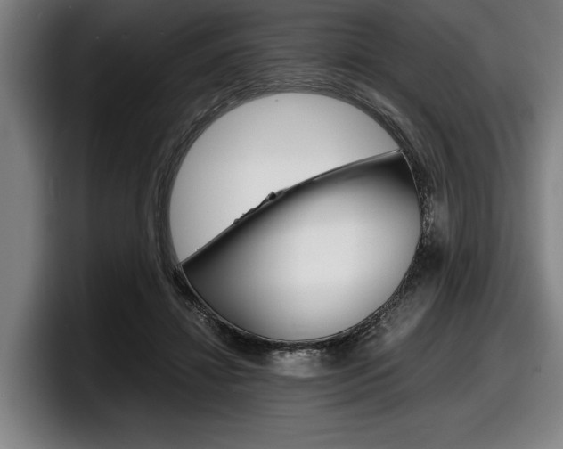 X0000098160452200804171221