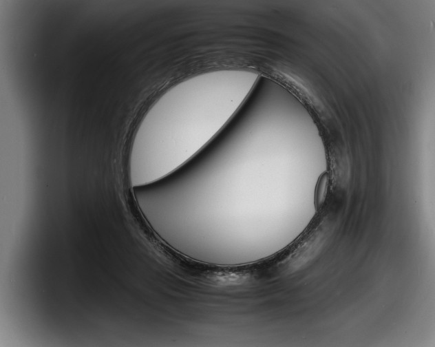 X0000098160453200804171221
