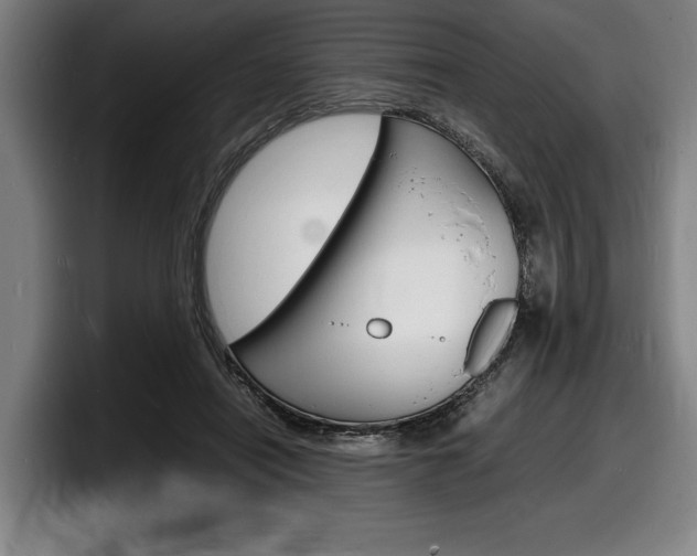 X0000098160454200804171221