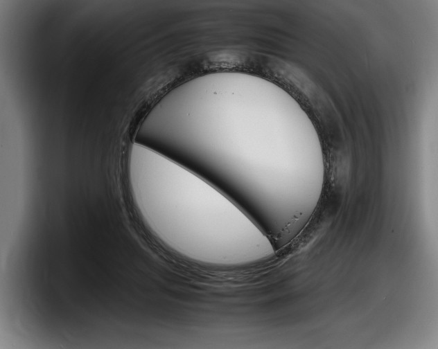 X0000098160455200804171221