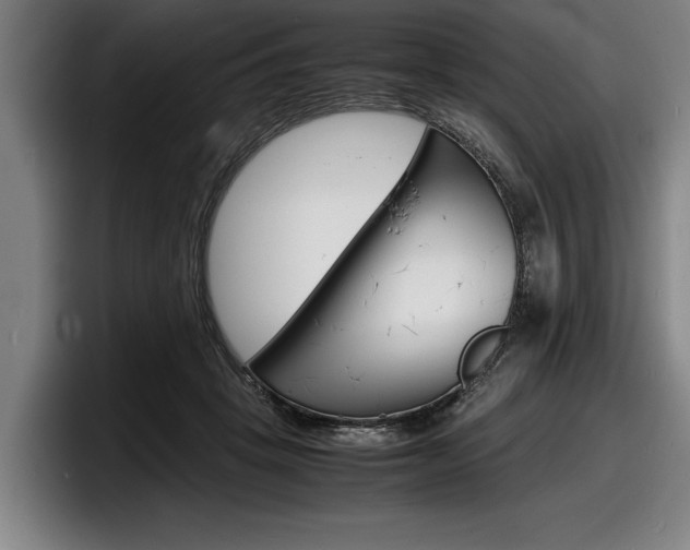 X0000098160457200804171221