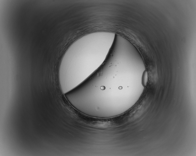 X0000098160458200804171221