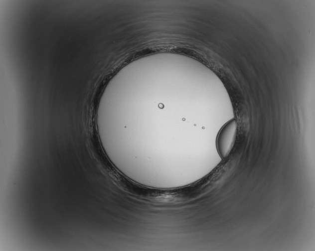 X0000098160460200804171221