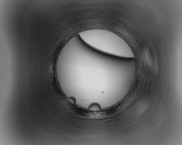 X0000098160461200804171221