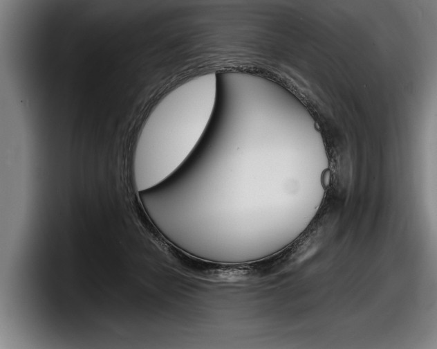 X0000098160462200804171221