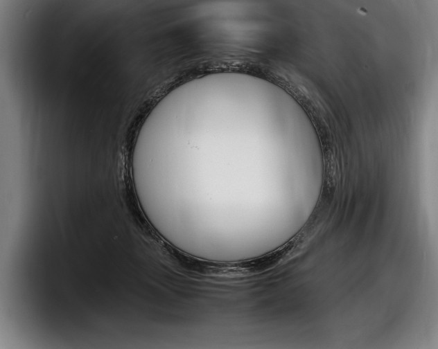 X0000098160463200804171221