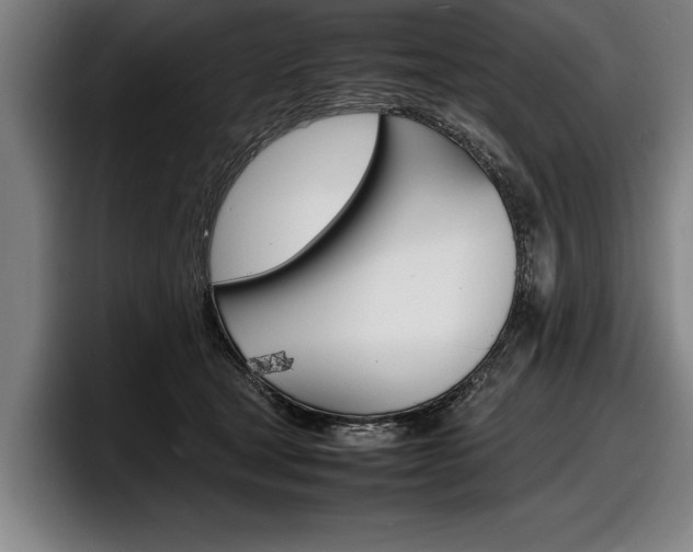 X0000098160465200804171221