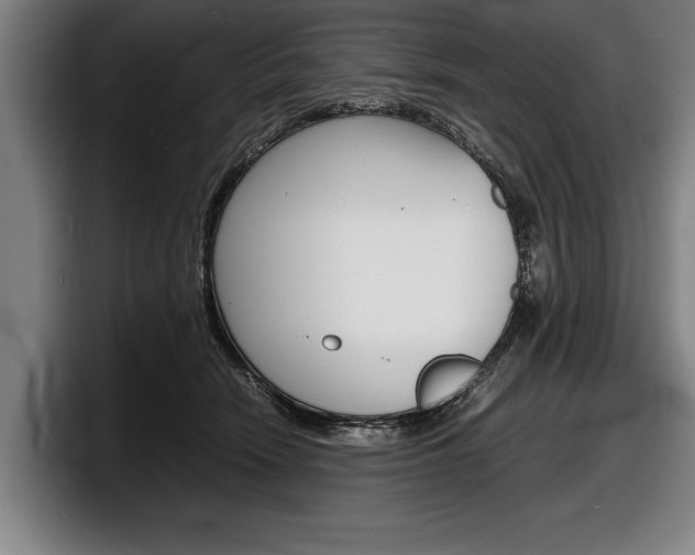 X0000098160466200804171221