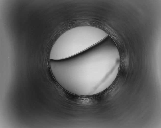 X0000098160469200804171221