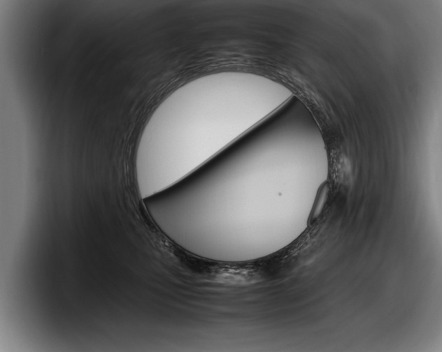 X0000098160471200804171221