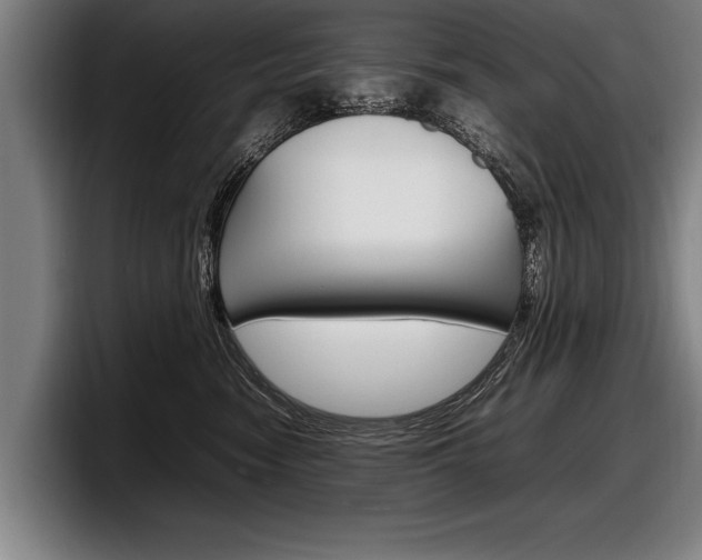 X0000098160474200804171221