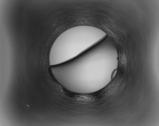 X0000098160475200804171221