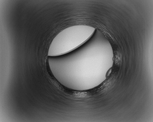 X0000098160476200804171221