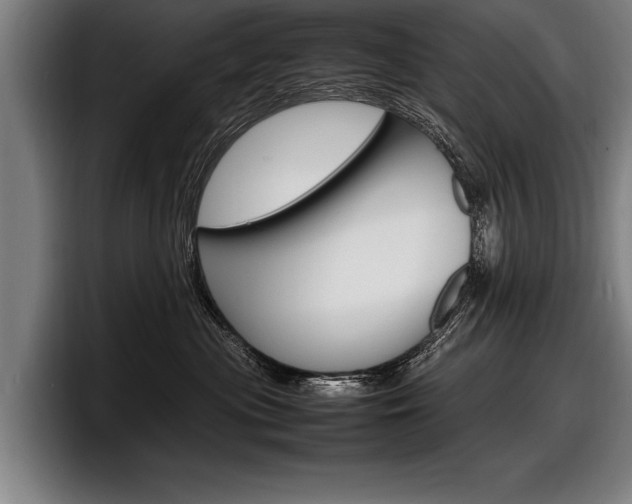 X0000098160477200804171222