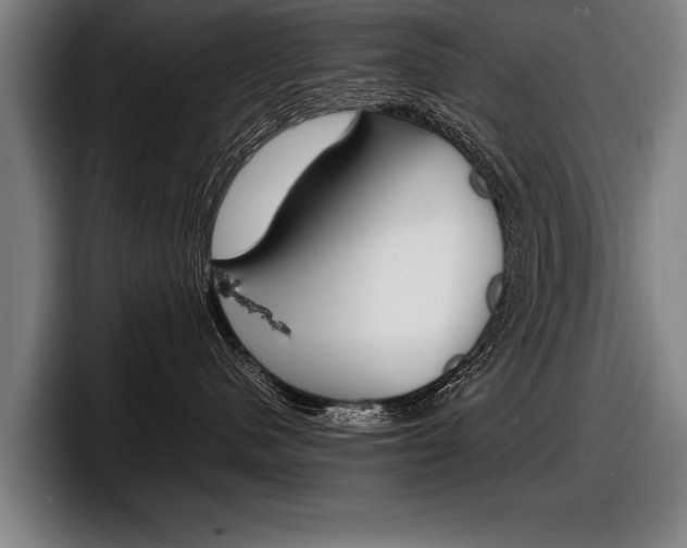 X0000098160480200804171222