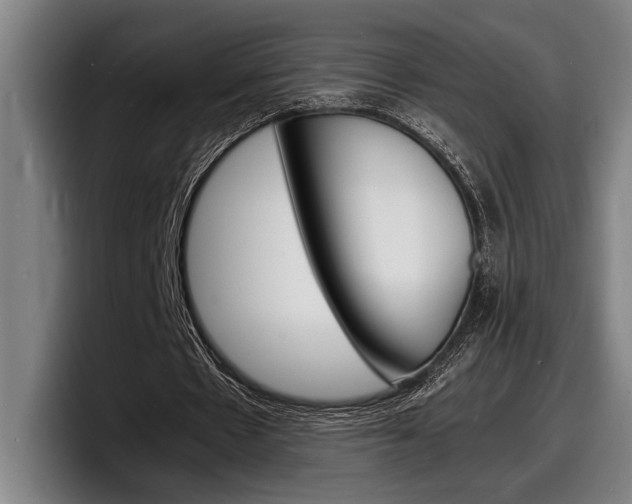 X0000098160481200804171221