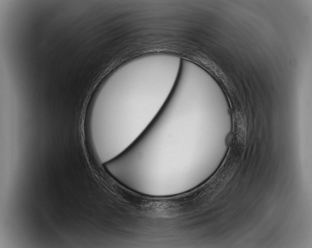 X0000098160482200804171221