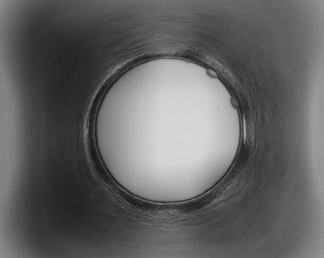 X0000098160483200804171221