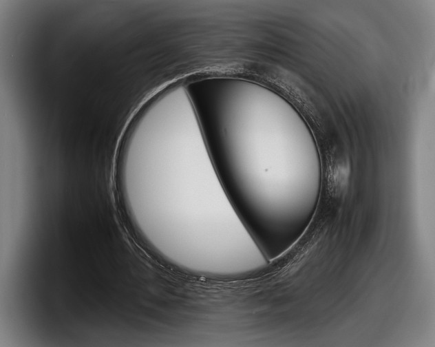 X0000098160484200804171221