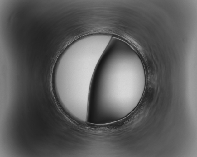X0000098160485200804171221