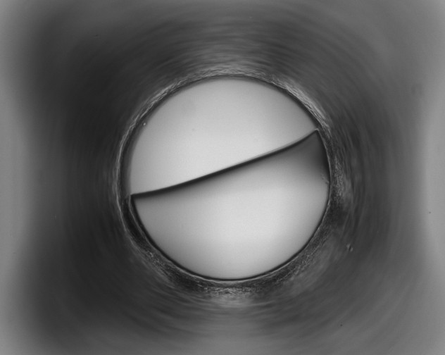X0000098160486200804171221