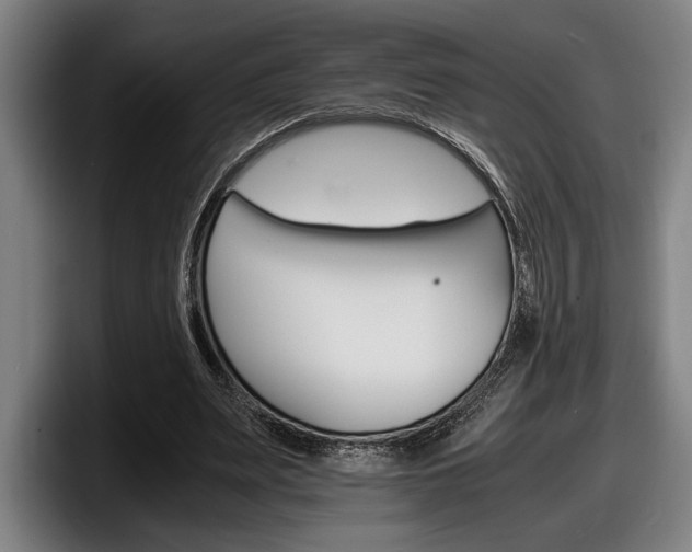 X0000098160487200804171221