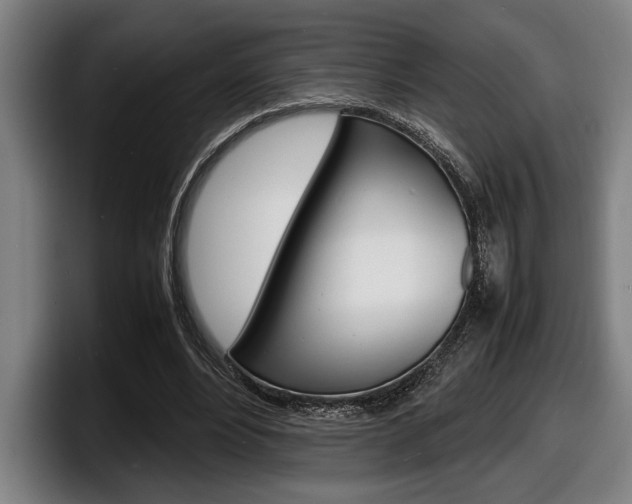 X0000098160488200804171221