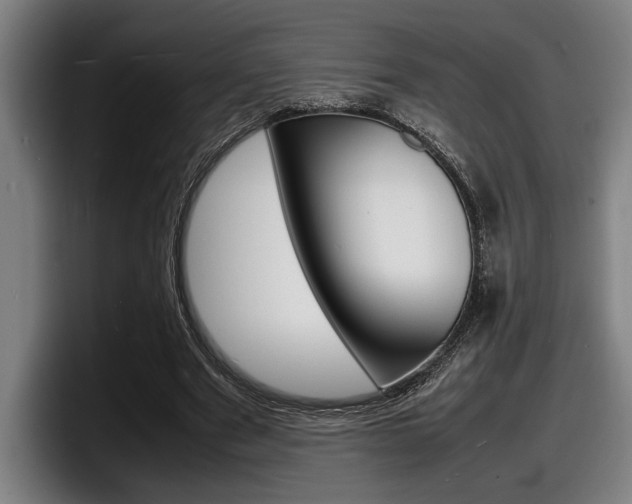 X0000098160489200804171221