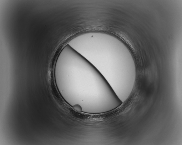 X0000098160491200804171221