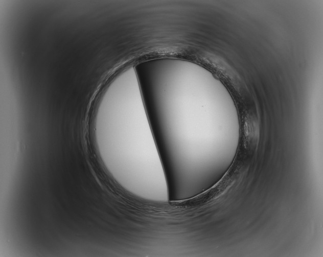 X0000098160492200804171221