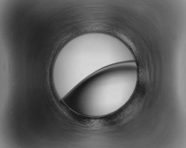 X0000098160493200804171221