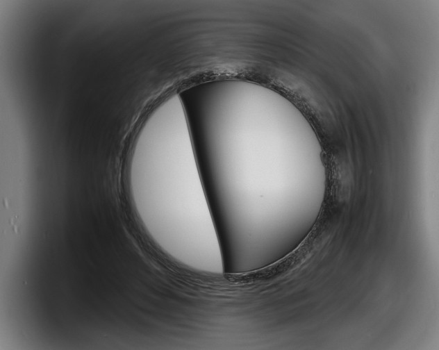 X0000098160496200804171221