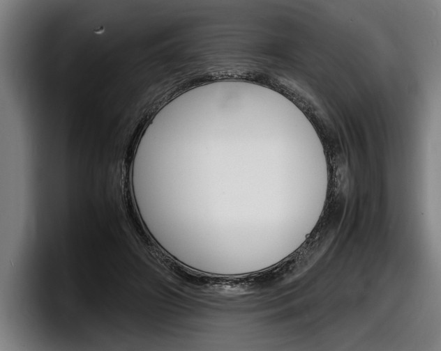 X0000098160498200804171221