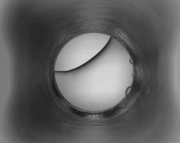 X0000098160499200804171221