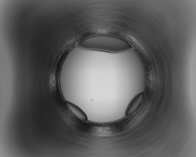 X0000098160500200804171221