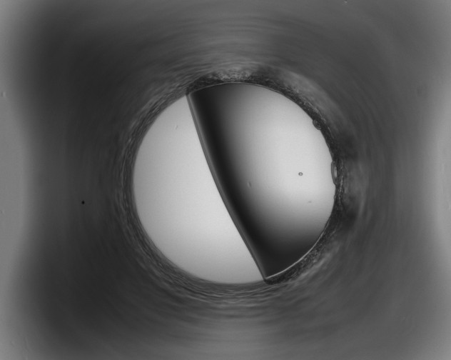 X0000098160501200804171221