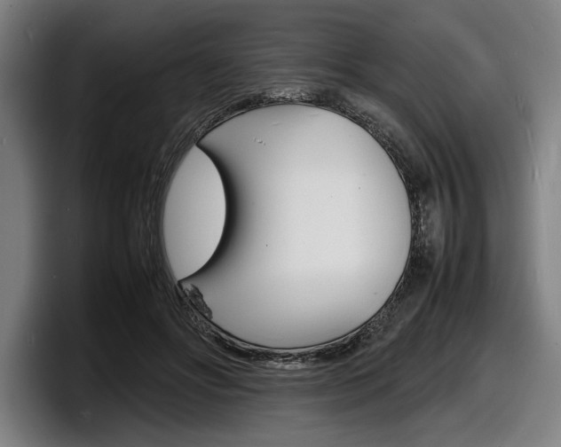 X0000098160502200804171221