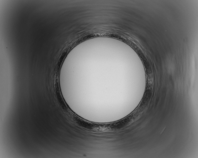 X0000098160503200804171221